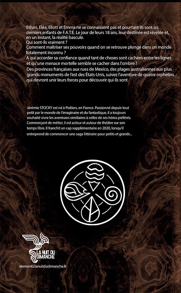 Éléments, livre 1 - Les derniers enfants de F.A.T.E. (version illustrée) – Image 3